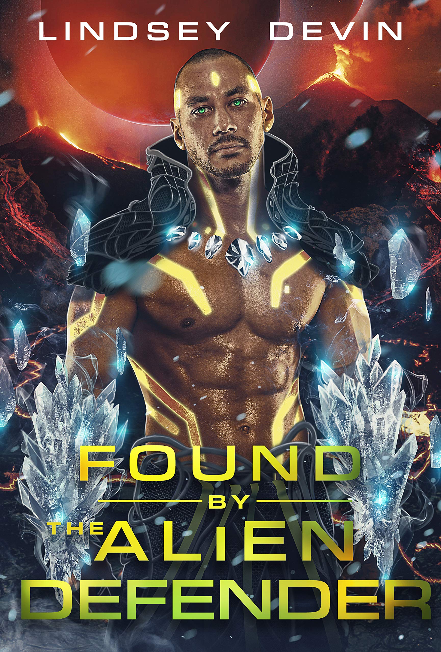 Found by the Alien Defender book cover