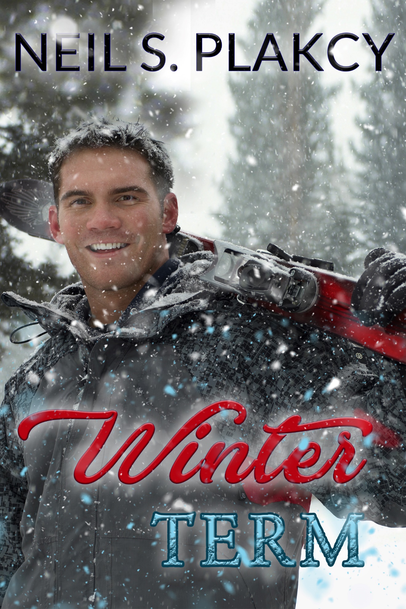 Winter Term book cover