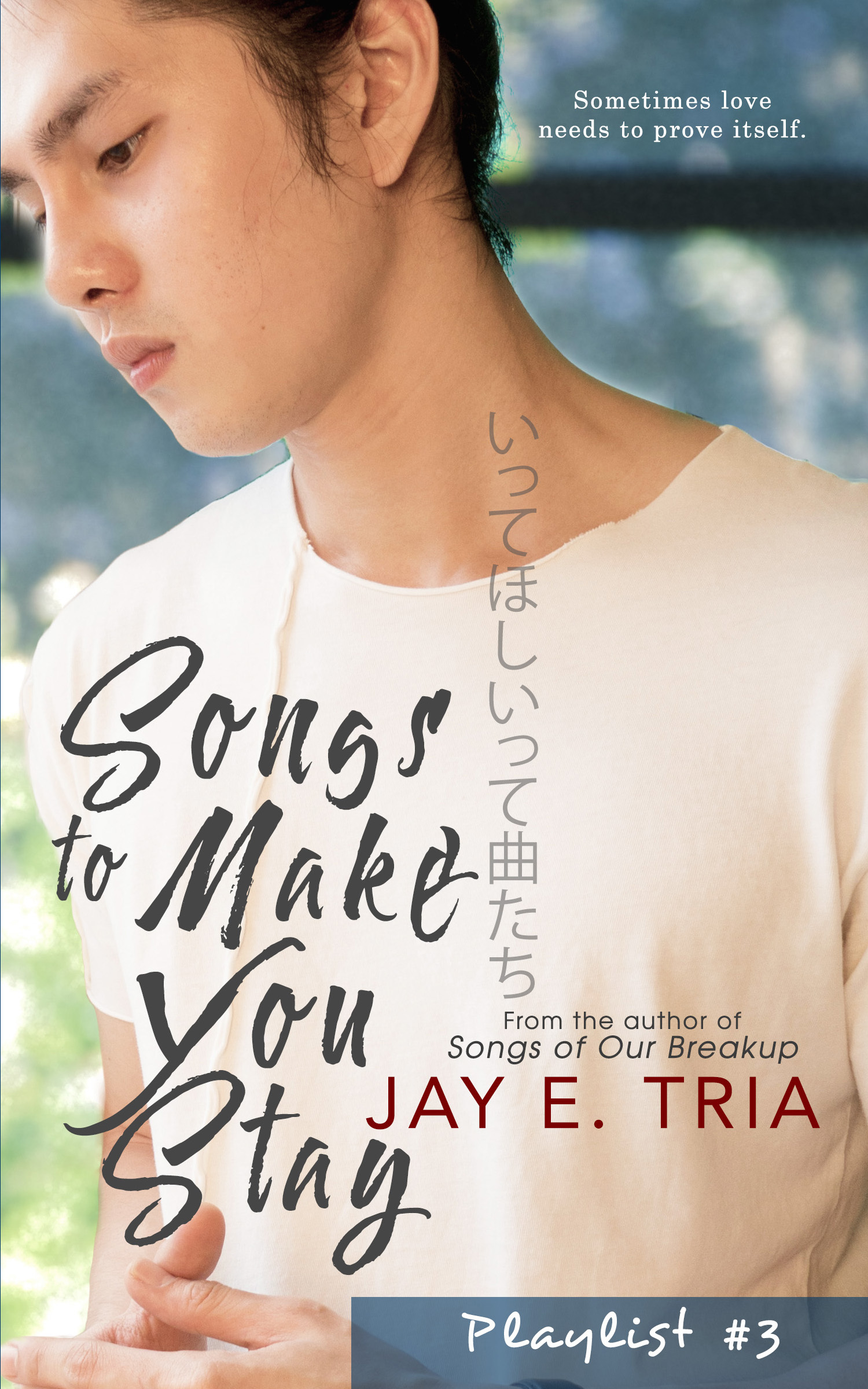 Playlist book cover 3