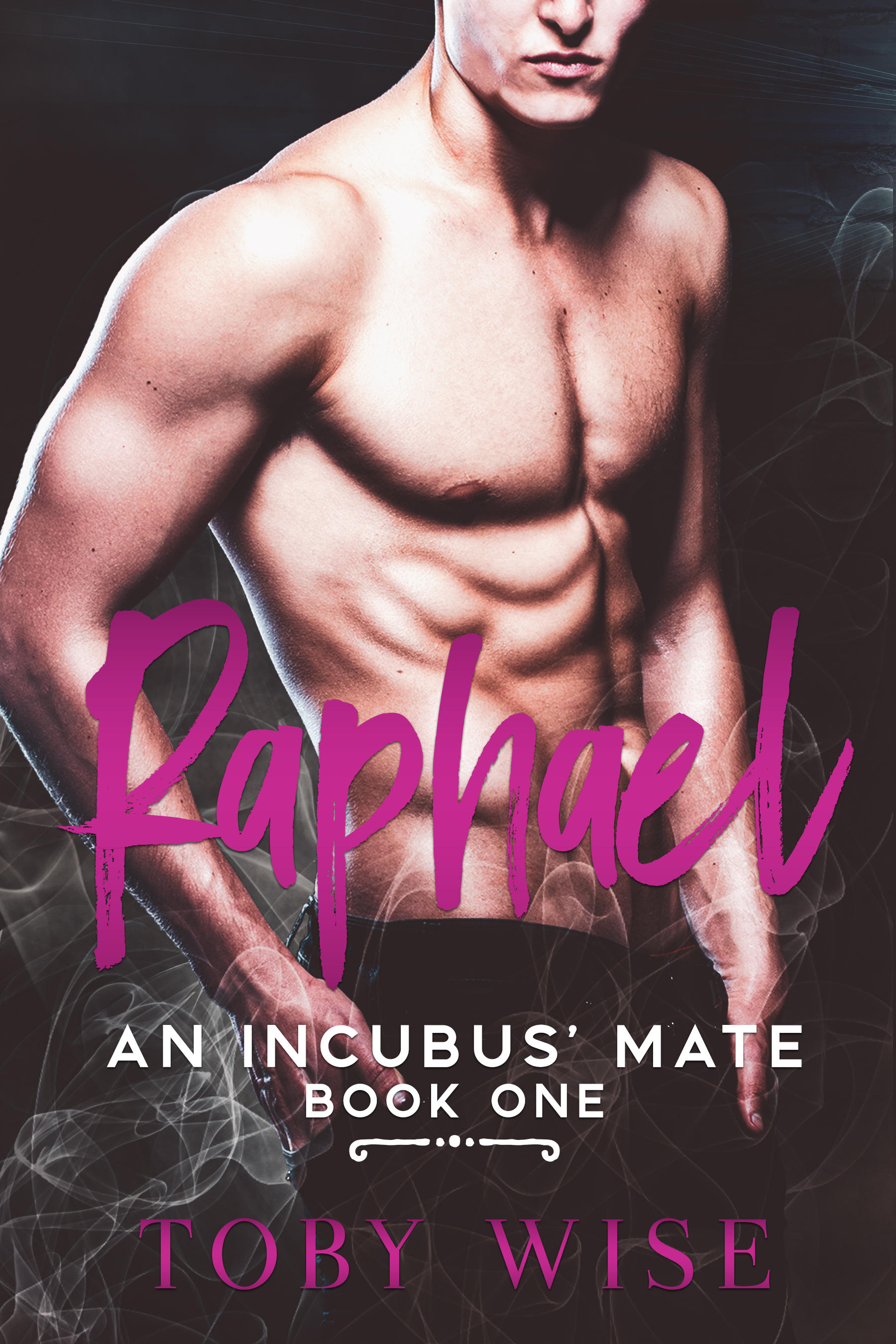Raphael book cover