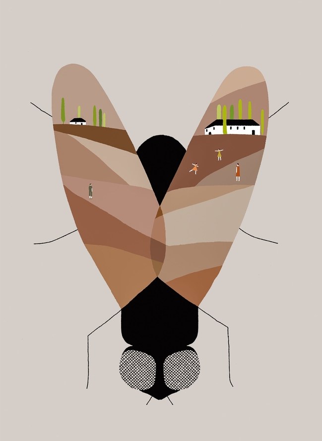 The Boundary book cover
