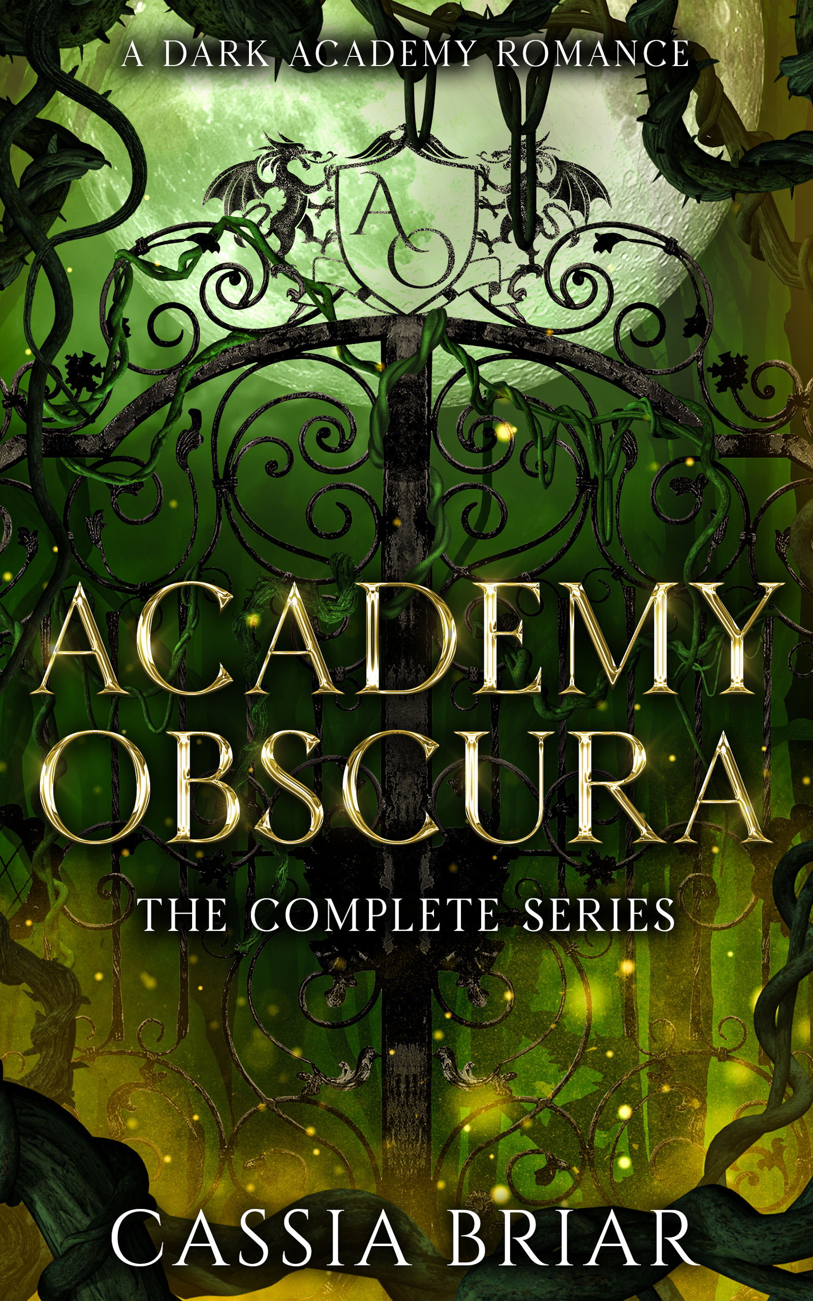 Academy Obscura book cover