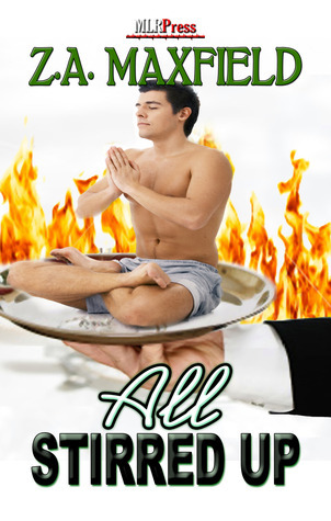 Stirring book cover 2