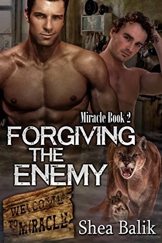 Miracle book cover 2