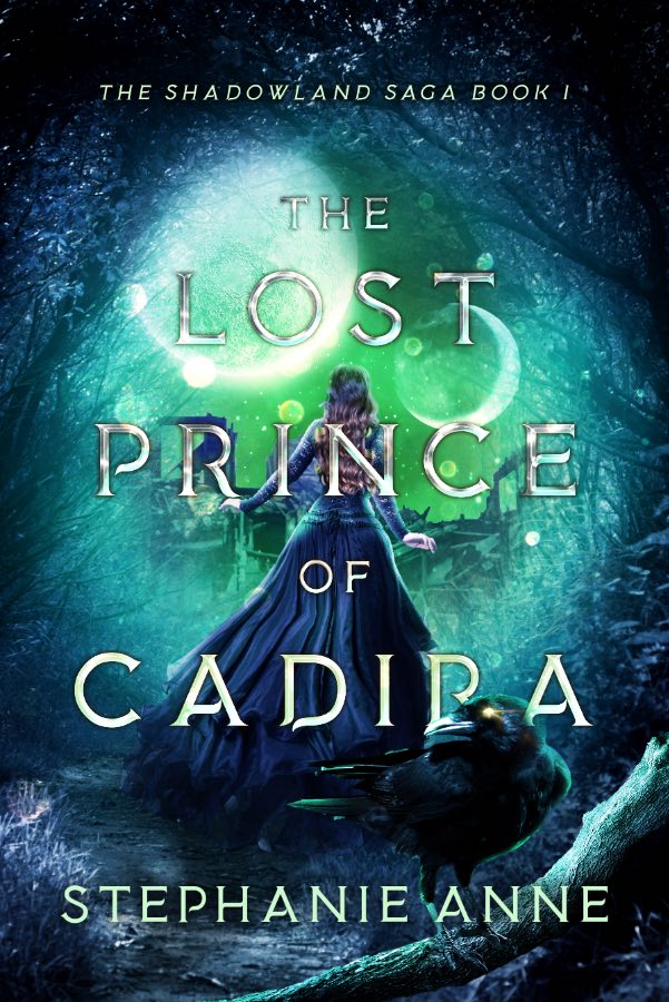 Shadowland Saga book cover 1