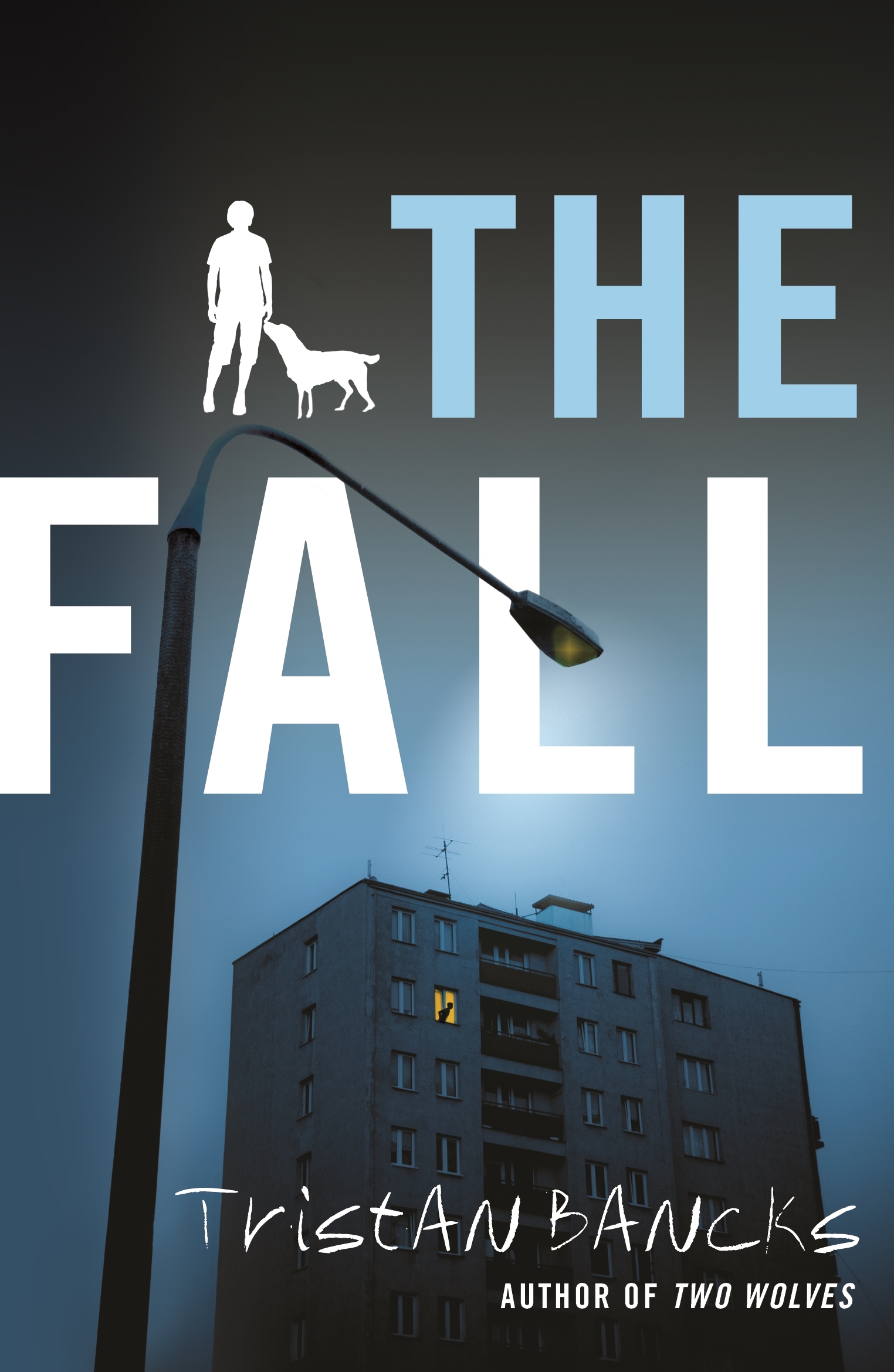 The Fall book cover