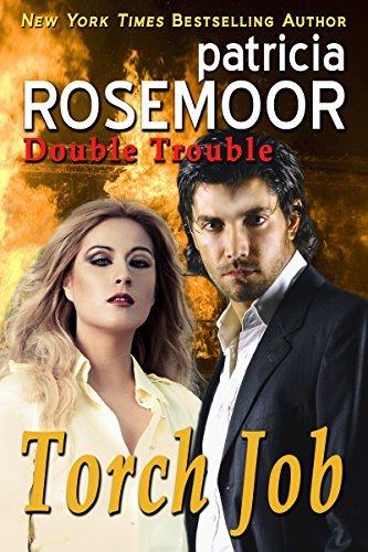 Torch Job book cover