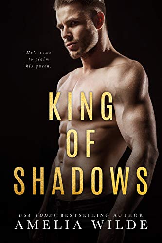 King of Shadows book cover 1