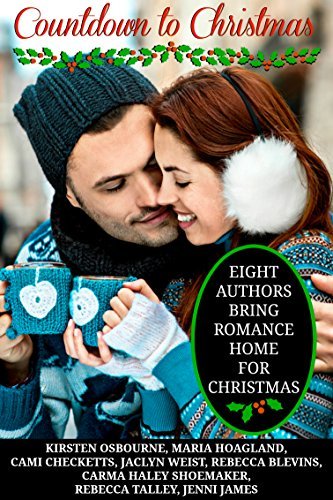 Countdown to Christmas book cover