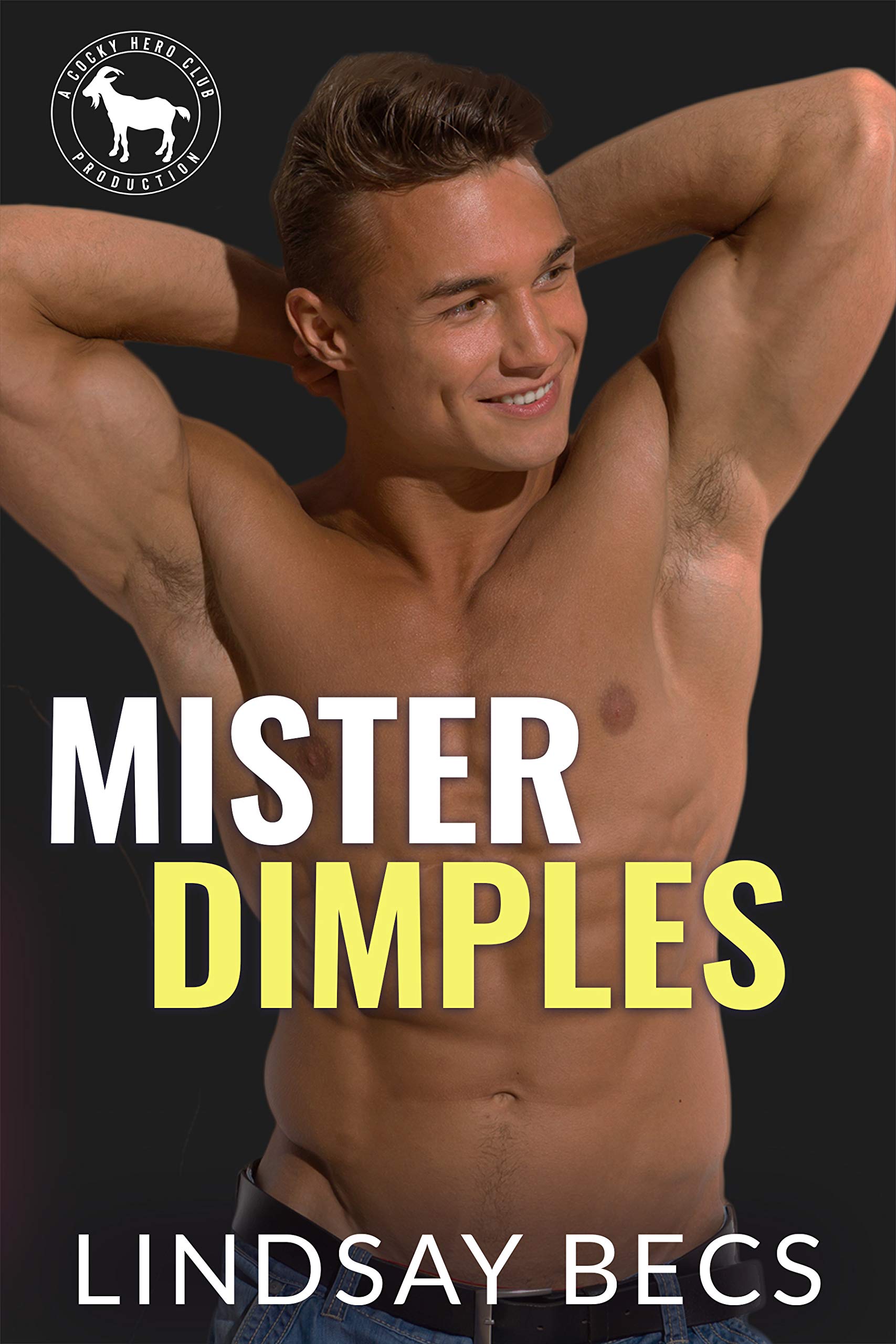 Mister Dimples book cover
