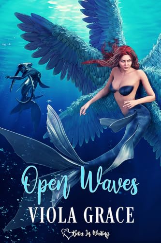 Open Waves book cover