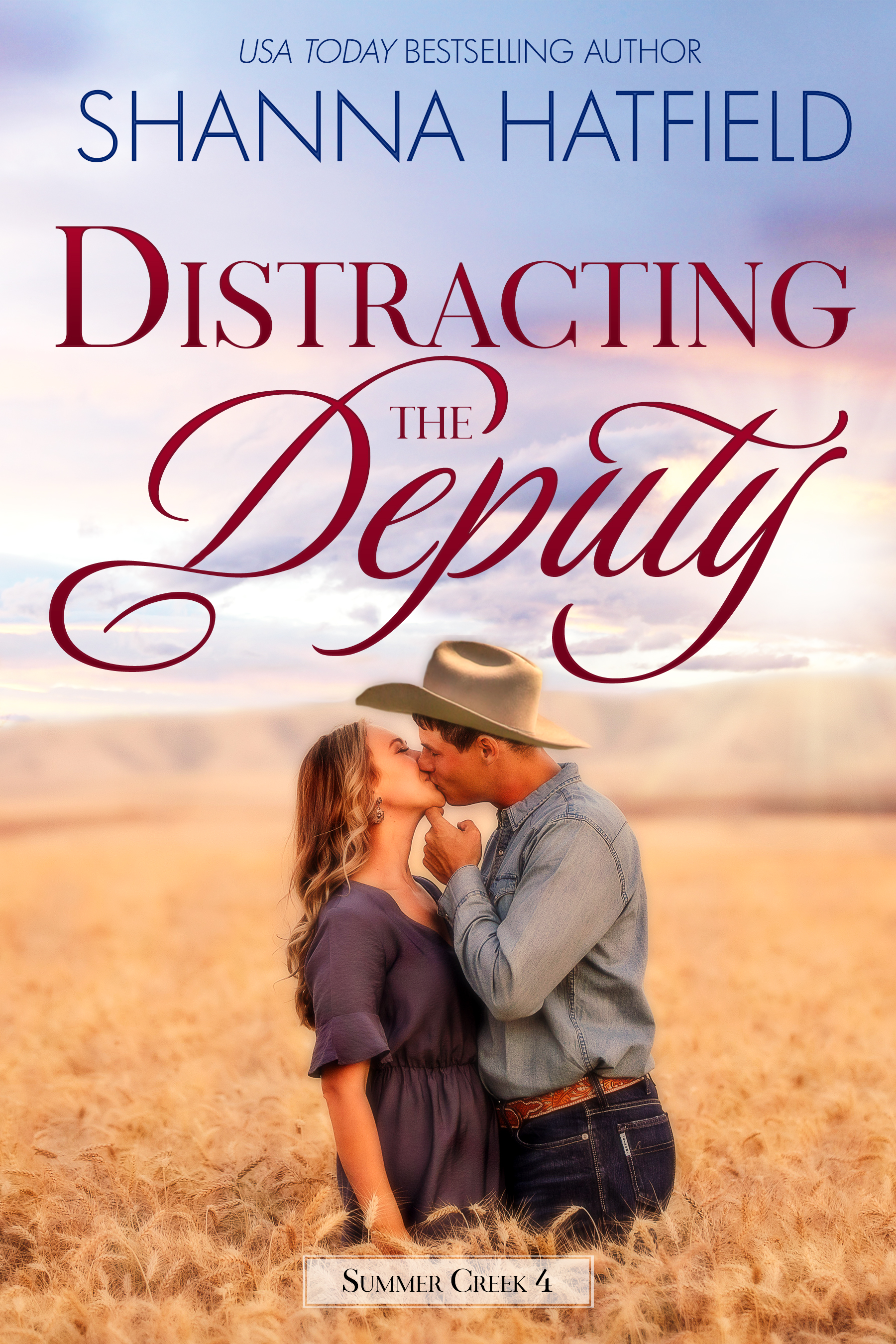 Distracting the Deputy book cover