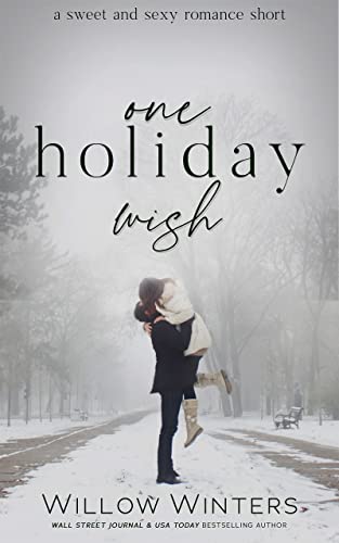 One Holiday Wish book cover