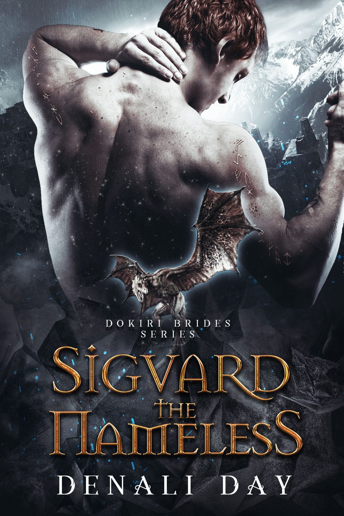 Sigvard the Nameless book cover
