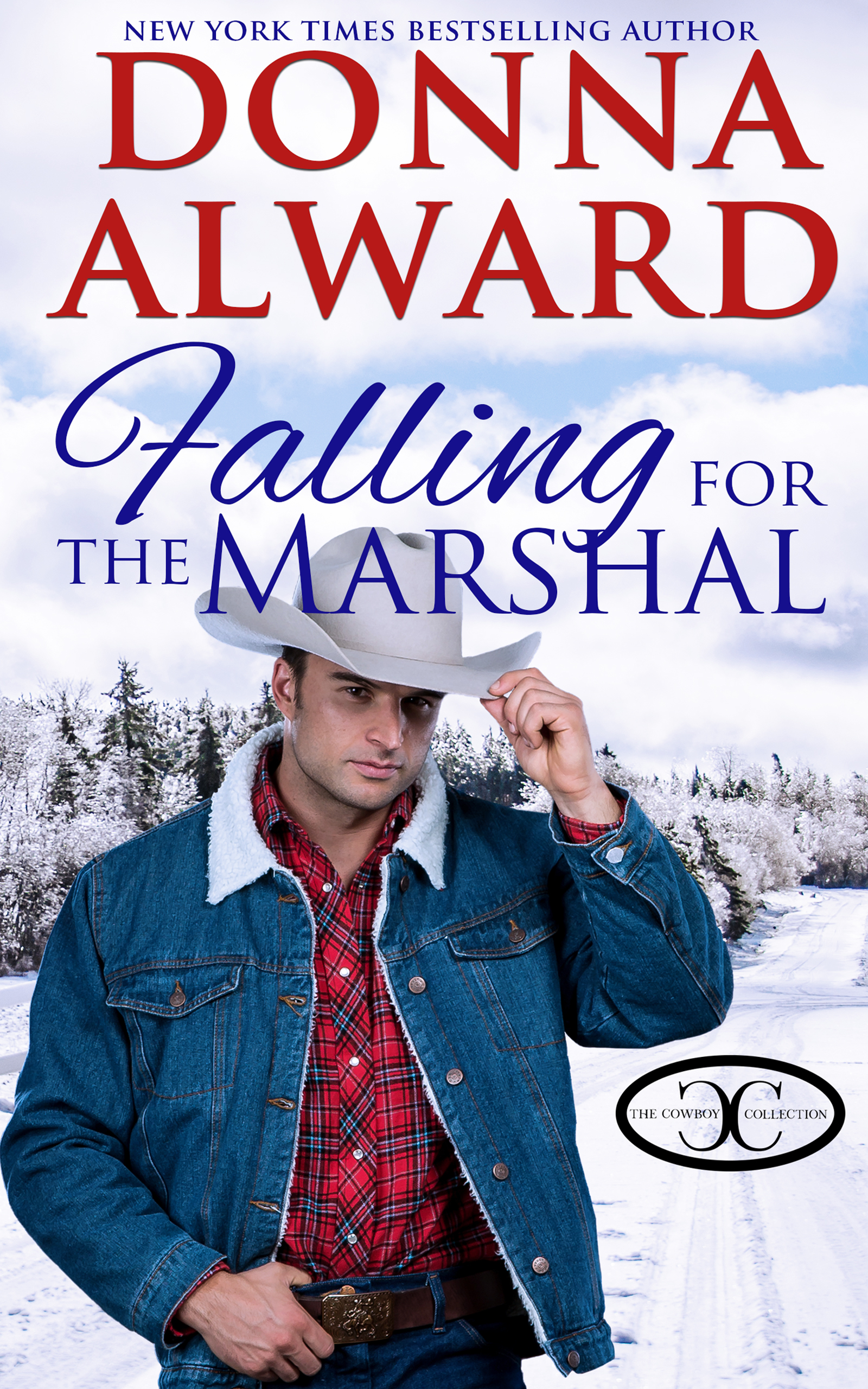 Windover Ranch book cover 3