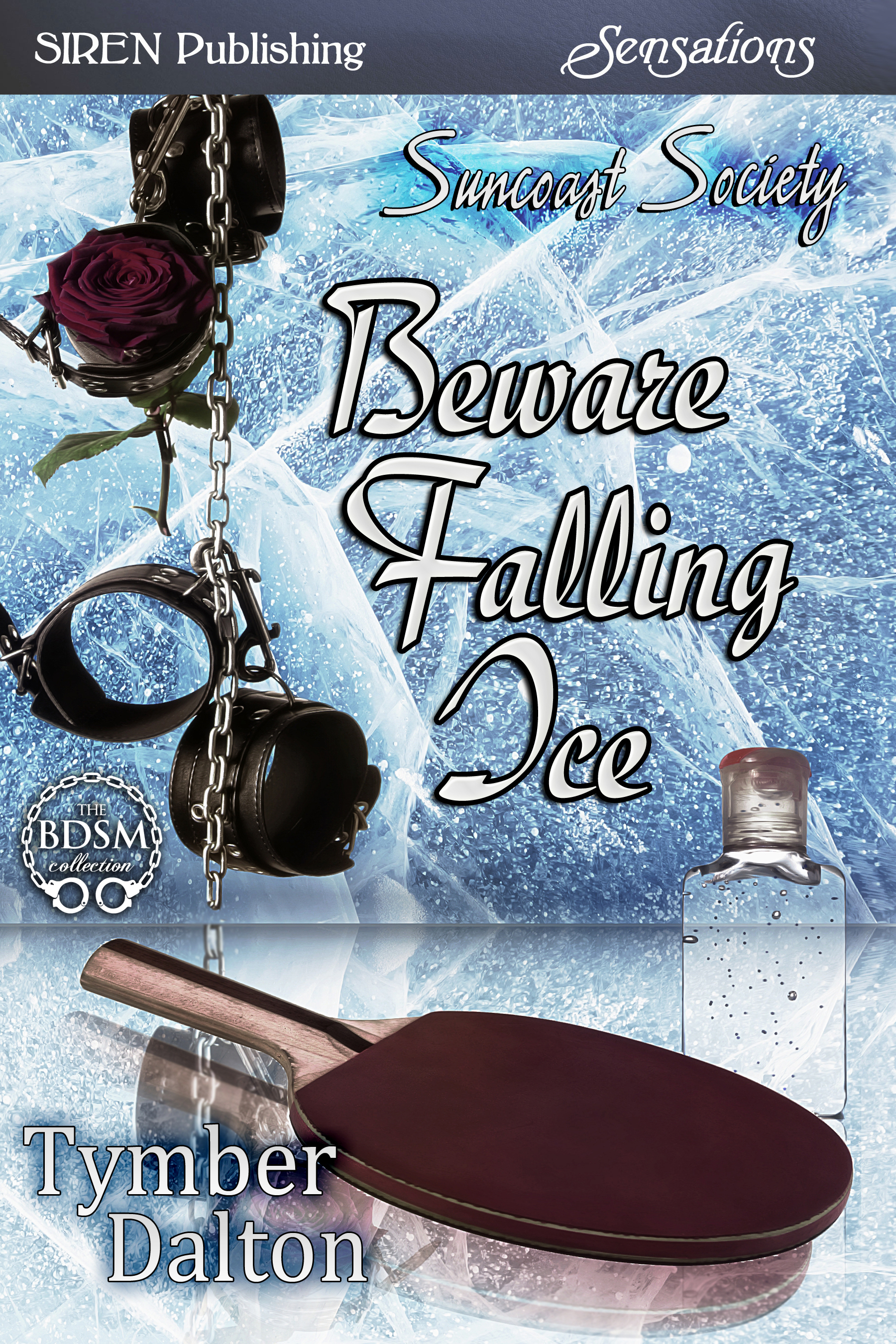 Beware Falling Ice book cover
