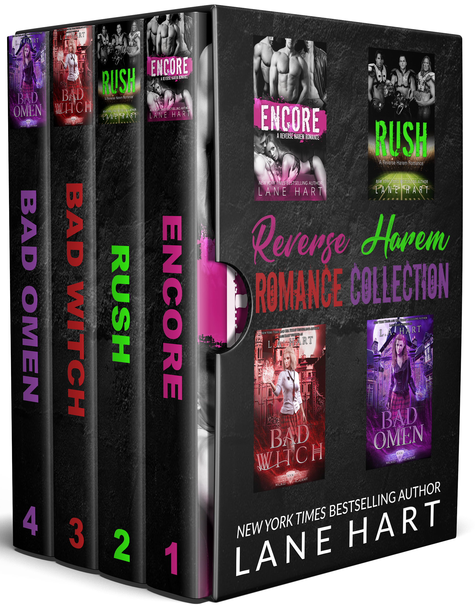 A Reverse Harem Romance Collection book cover