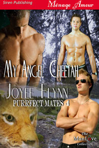My Angel Cheetah book cover
