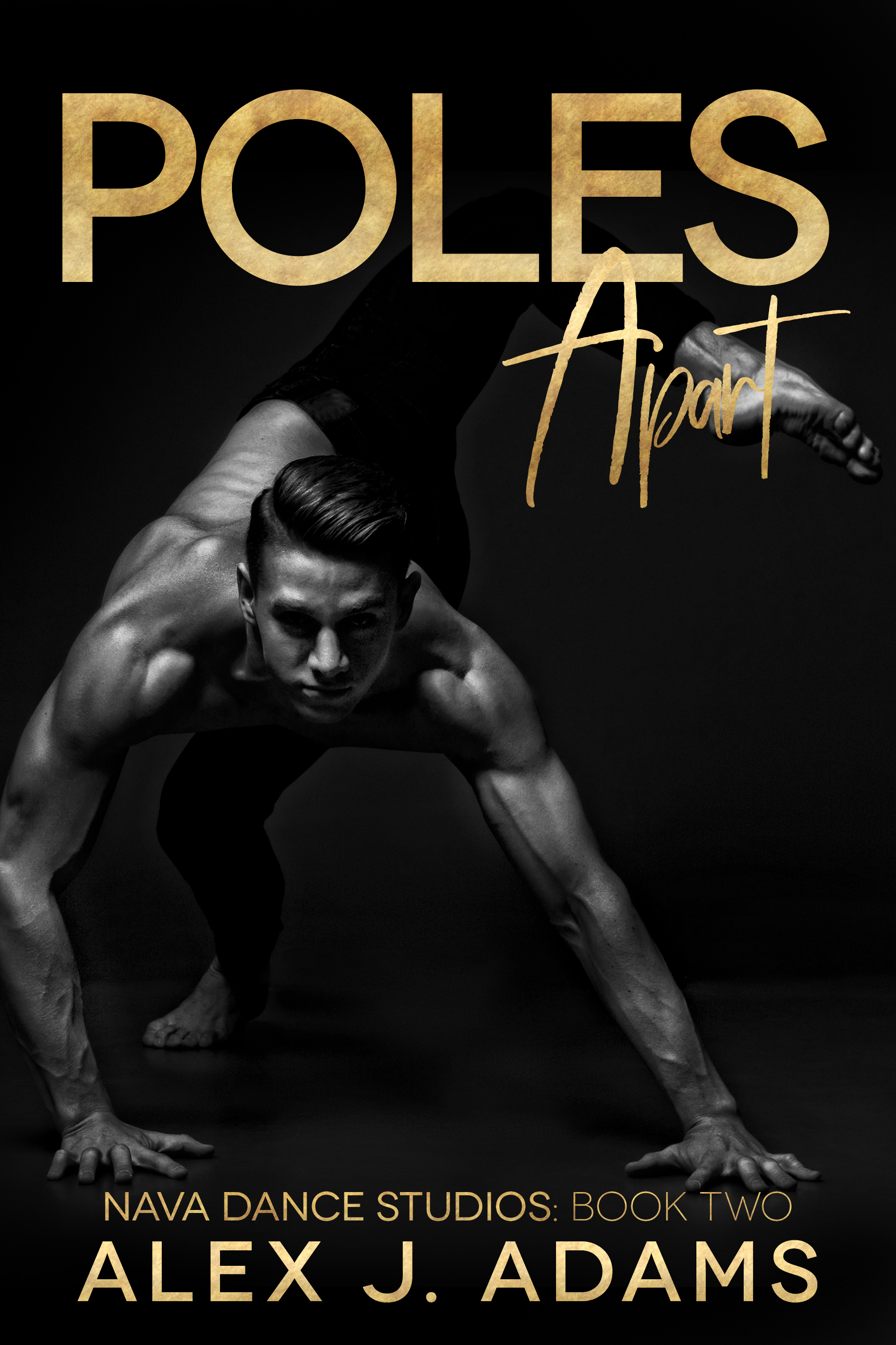 Nava Dance Studios book cover 2