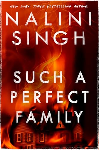 Such a Perfect Family book cover