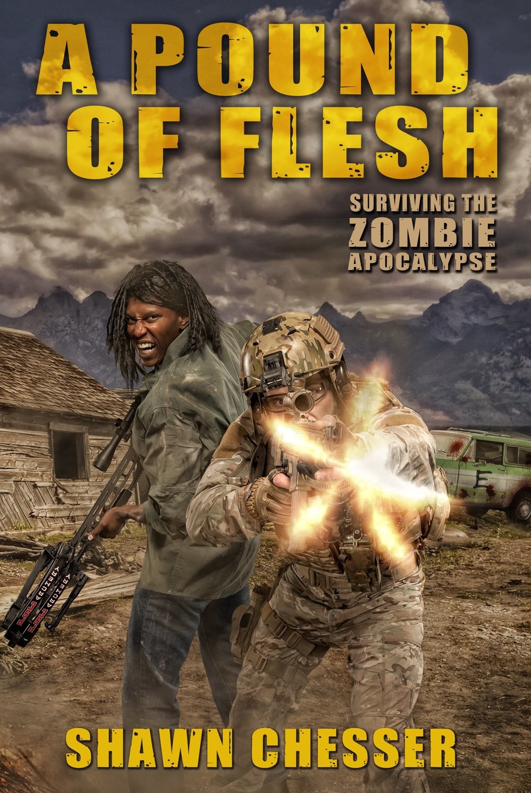 A Pound of Flesh book cover