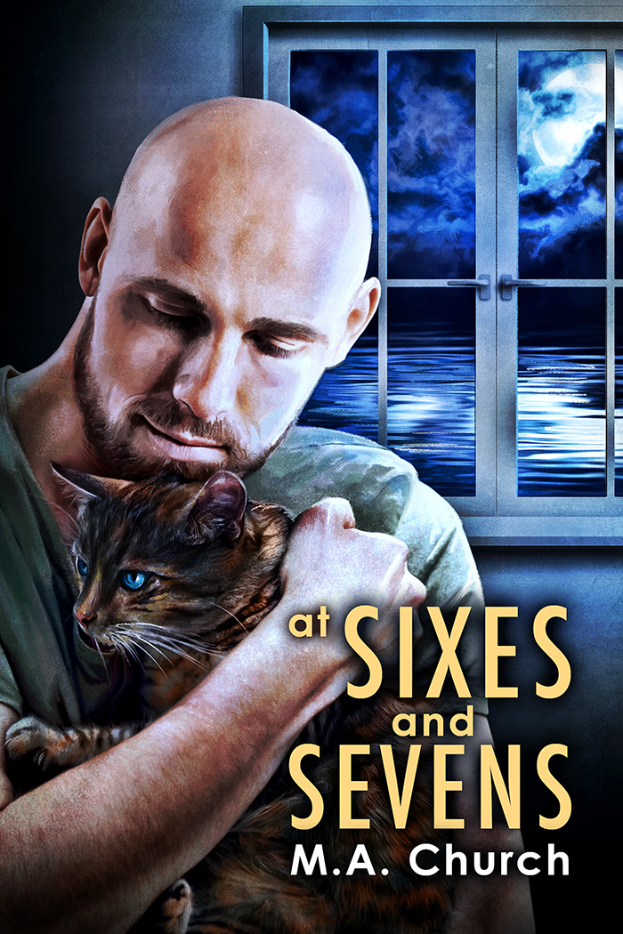 At Sixes and Sevens book cover