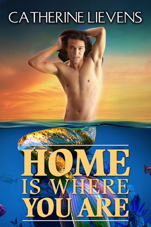 Home is Where You Are book cover