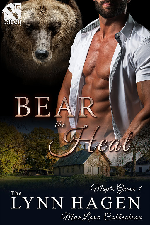Bear the Heat book cover