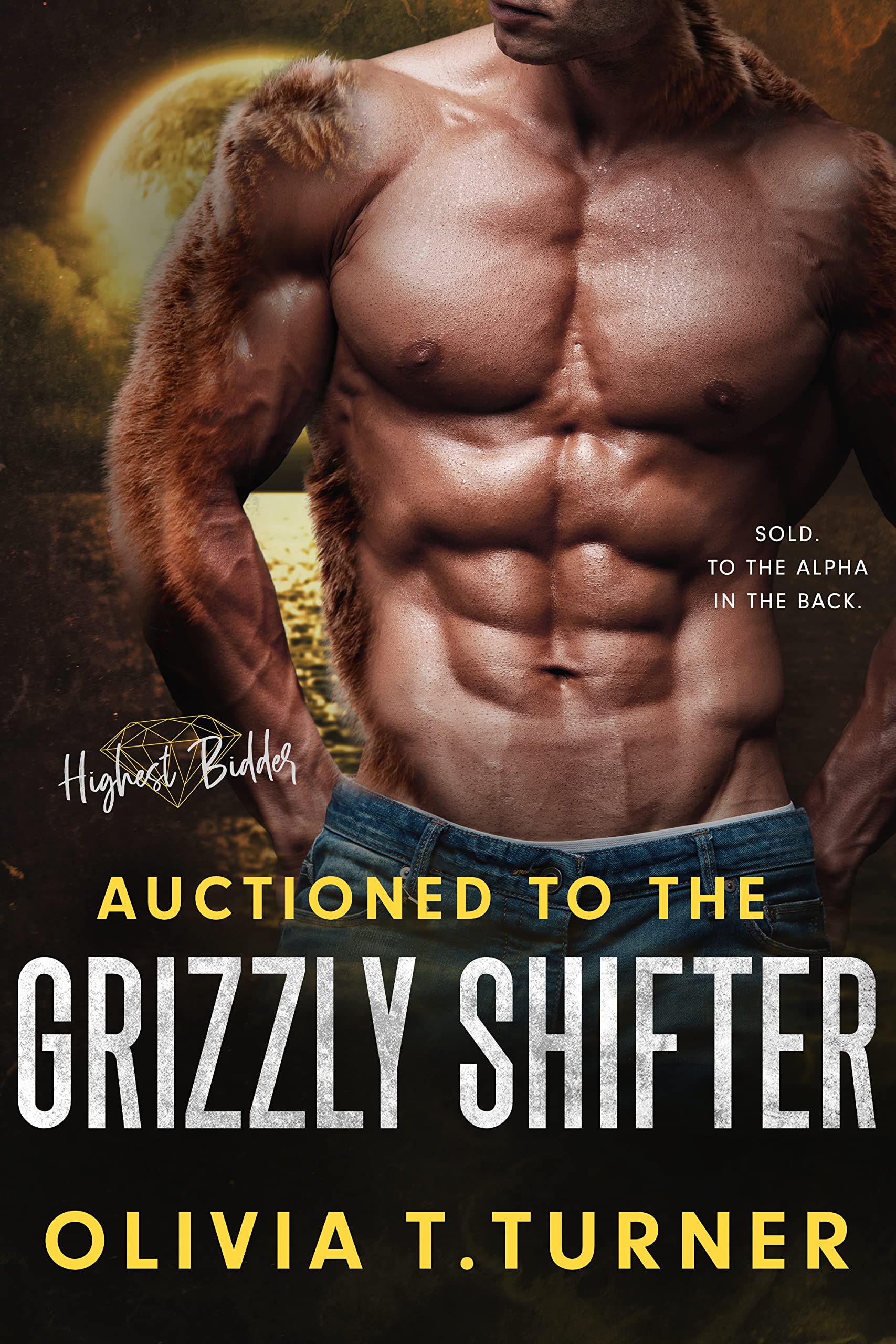 Highest Bidder book cover 2