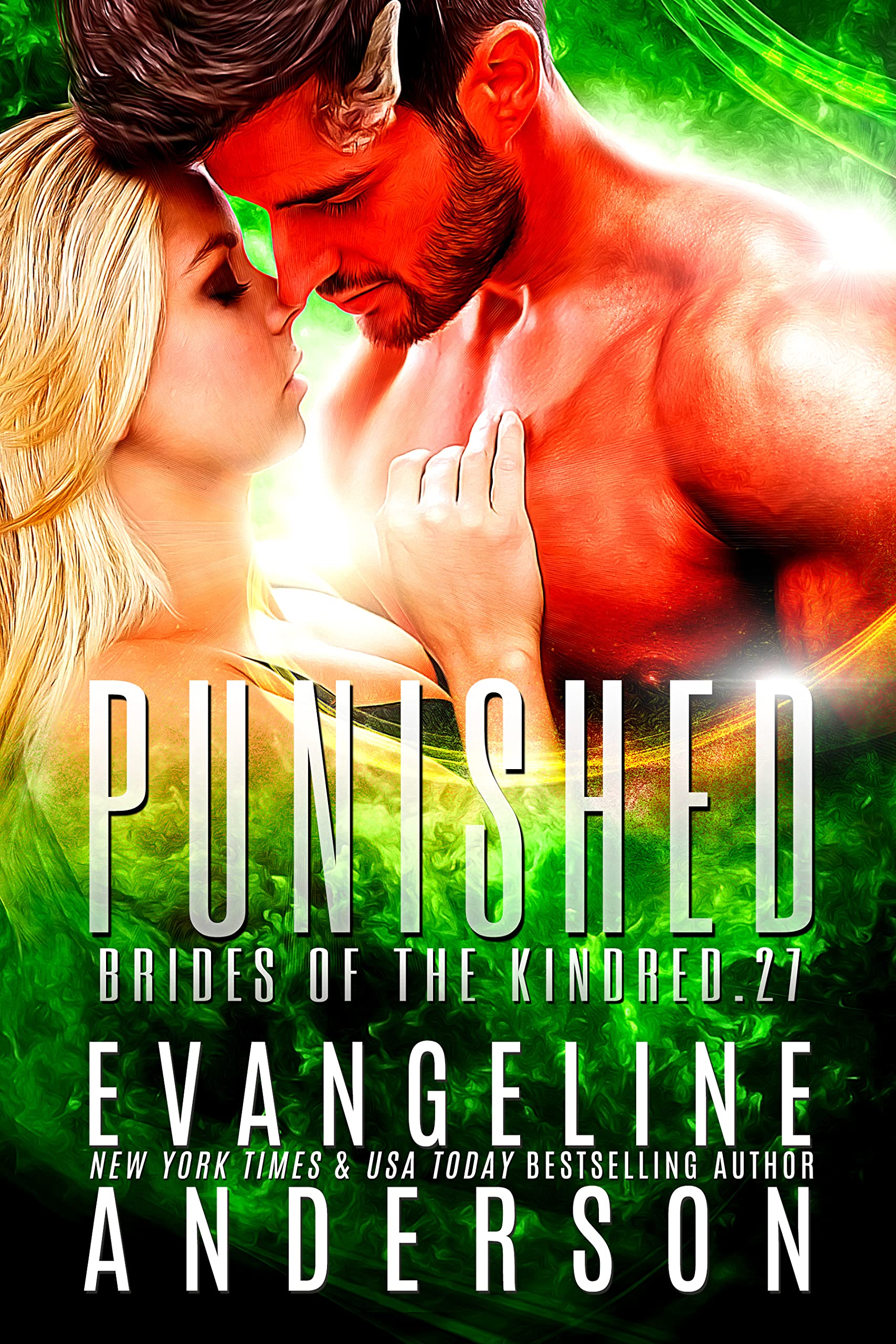 Punished book cover