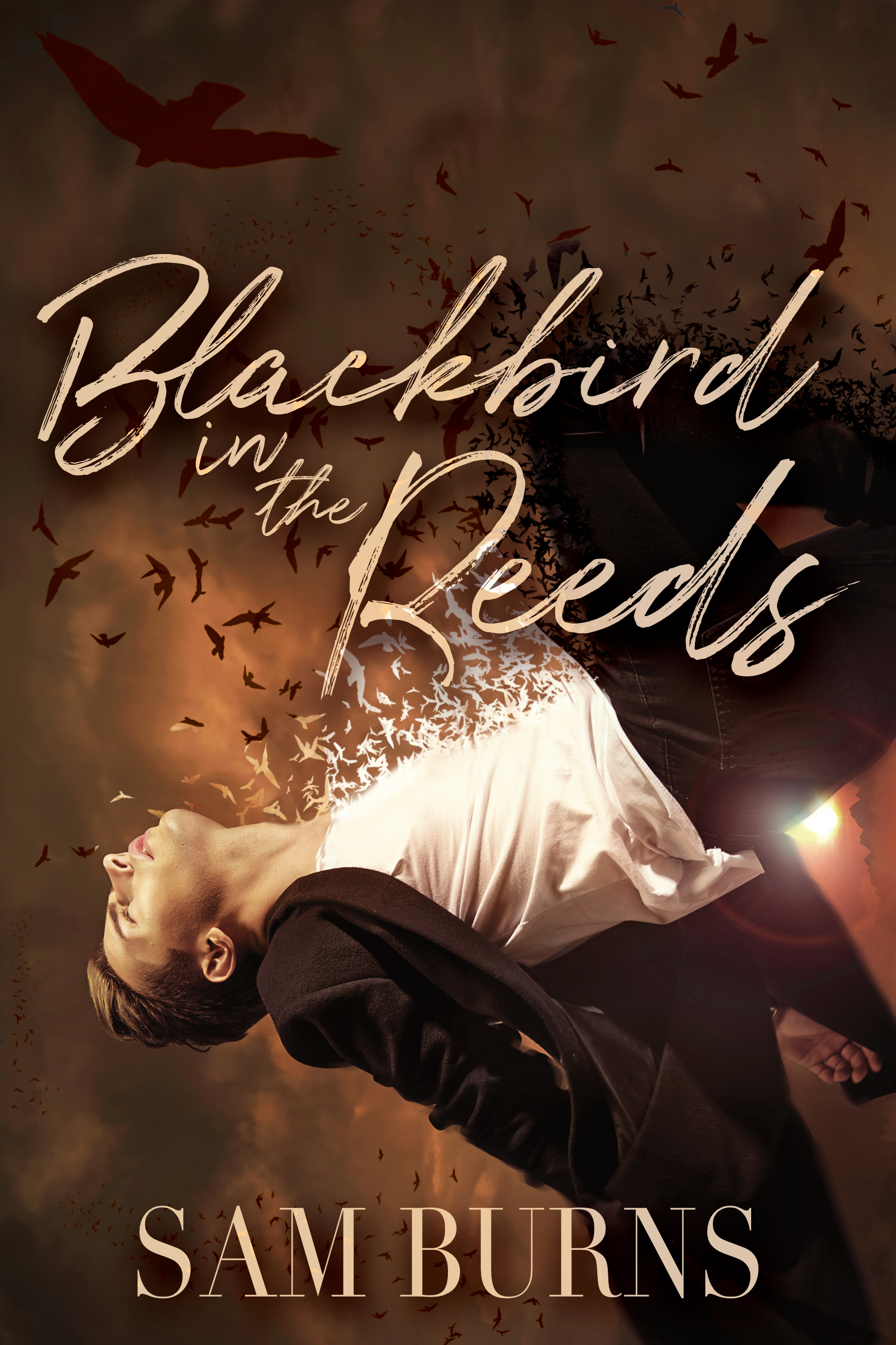 The Rowan Harbor Cycle book cover 1