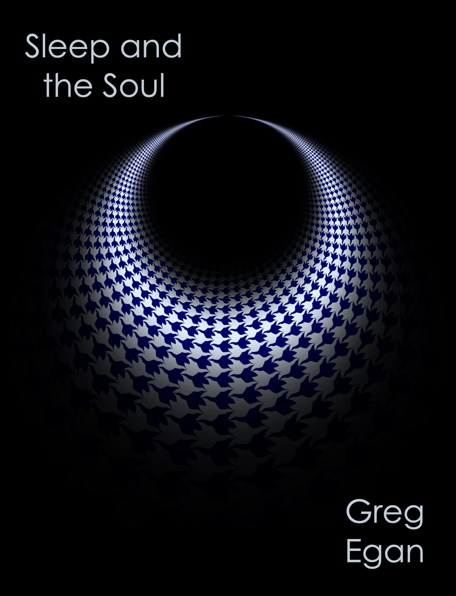 Sleep and the Soul book cover