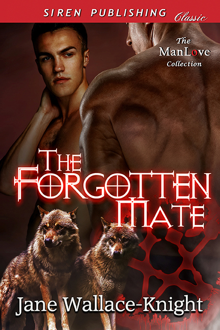 The Forgotten Mate book cover