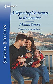 A Wyoming Christmas to Remember book cover