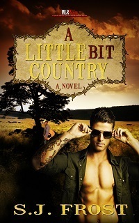 A Little Bit Country book cover