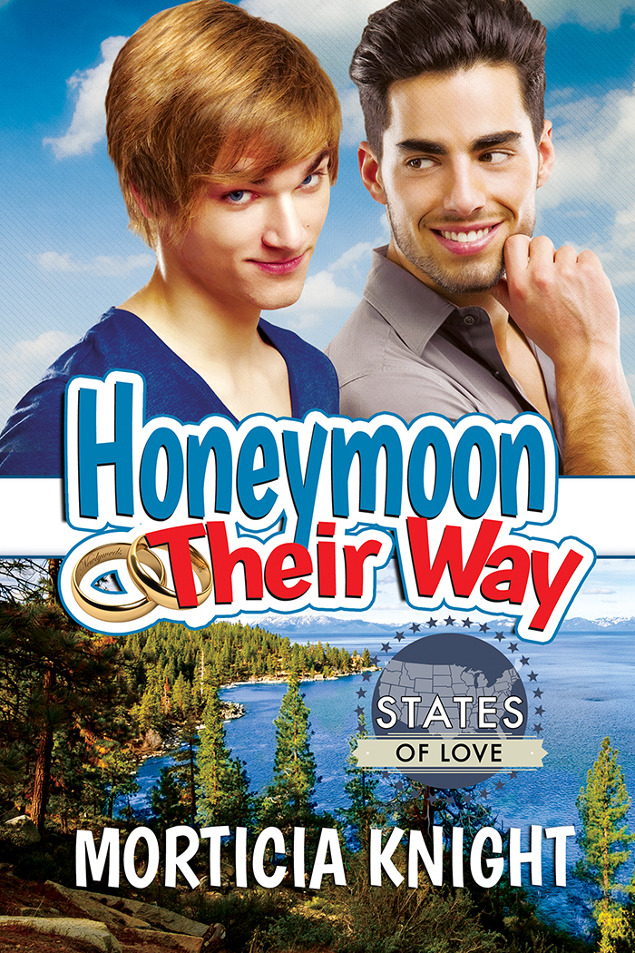 Honeymoon Their Way book cover