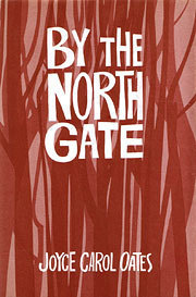 By the North Gate book cover