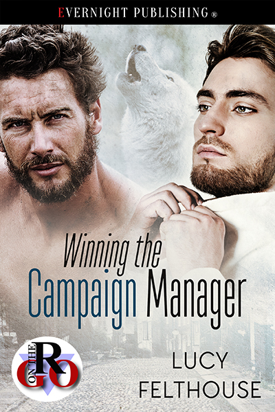 Winning the Campaign Manager book cover