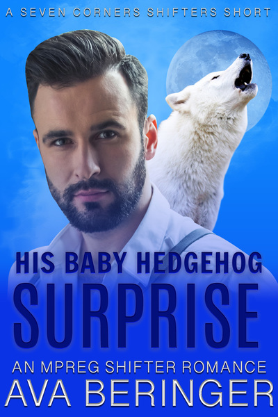 His Baby Hedgehog Surprise book cover