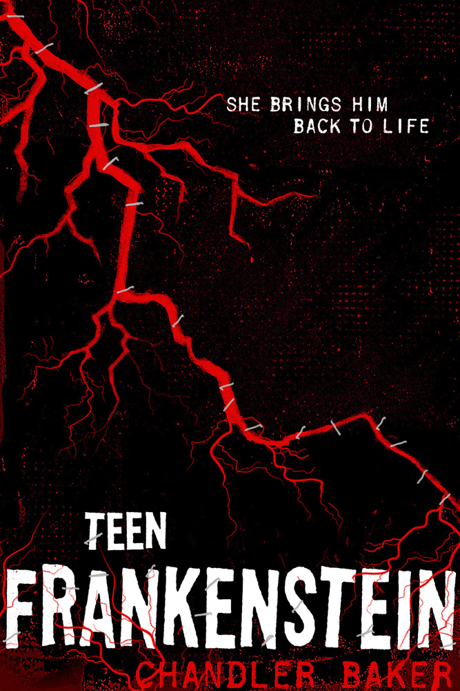High School Horror Story book cover 1