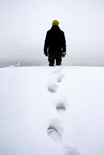 The Art of Walking in Snow book cover