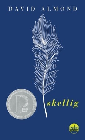 Skellig book cover 1