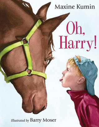 Oh, Harry! book cover