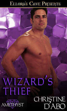 Wizard's Thief book cover