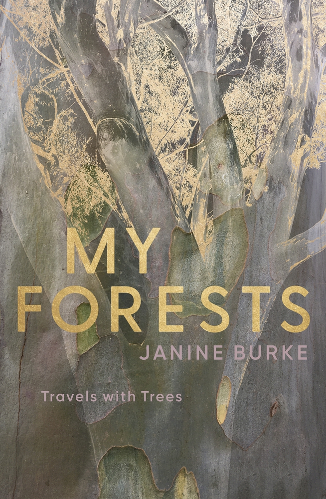 My Forests book cover