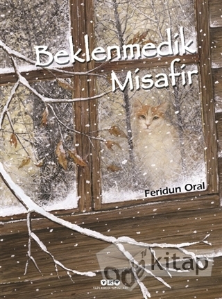 Beklenmedik Misafir book cover