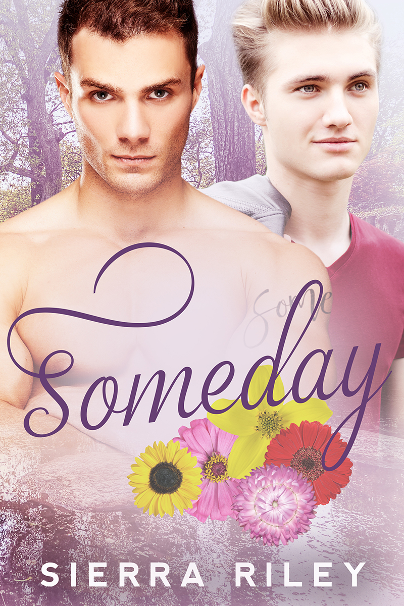 Delicious book cover 1