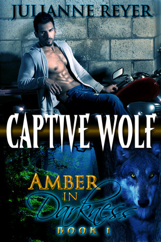Amber in Darkness book cover 1