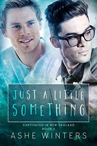 Captivated in New England book cover 2