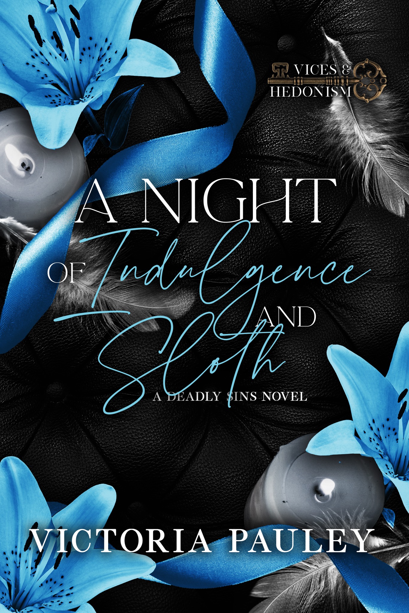A Night of Indulgence and Sloth book cover